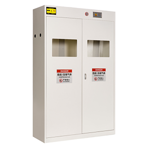 Three-cylinder gas cylinder cabinet for detecting different gases